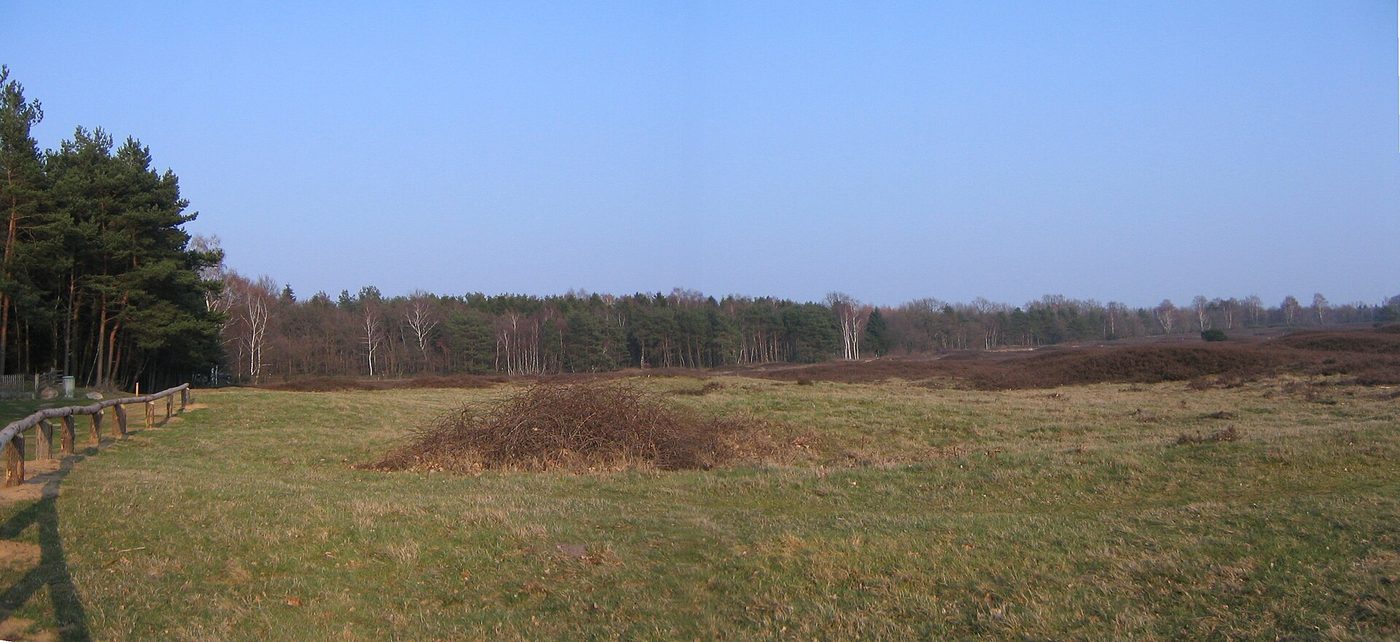 Pestruper Gräberfeld (Archivfoto)